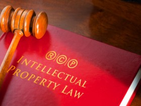 Insights into Intellectual Property Laws: Navigating the Landscape of Creativity and Innovation